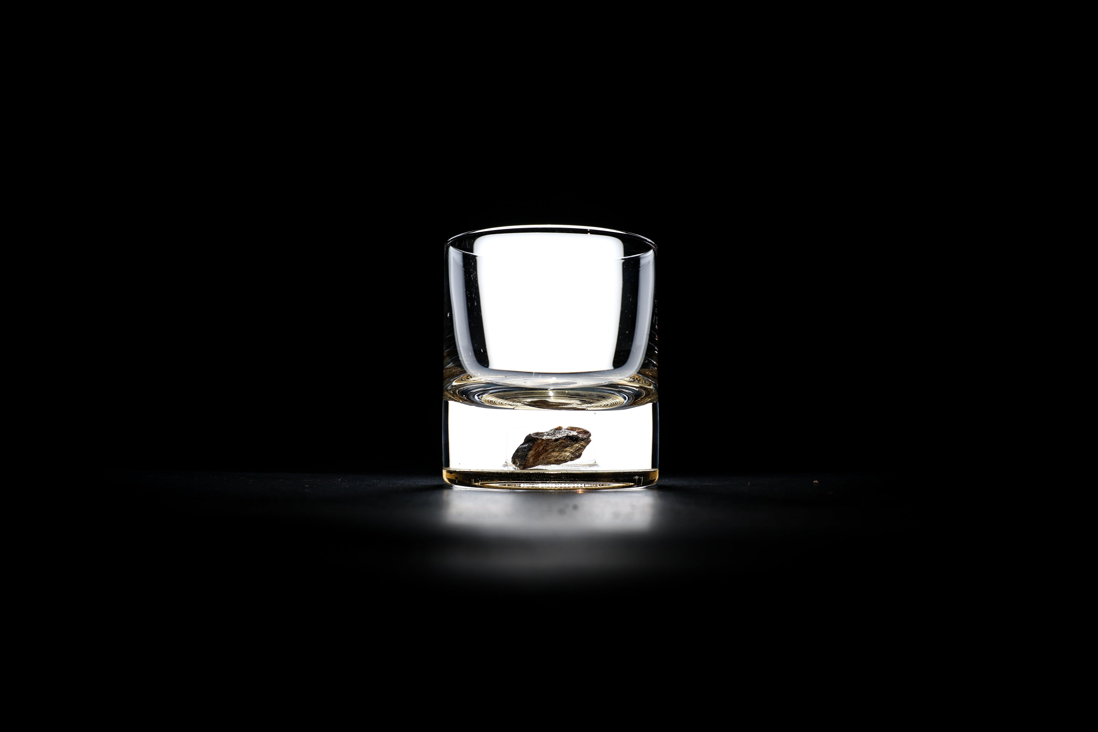 Dinosaur Bone Shard Tumbler - Set of 2