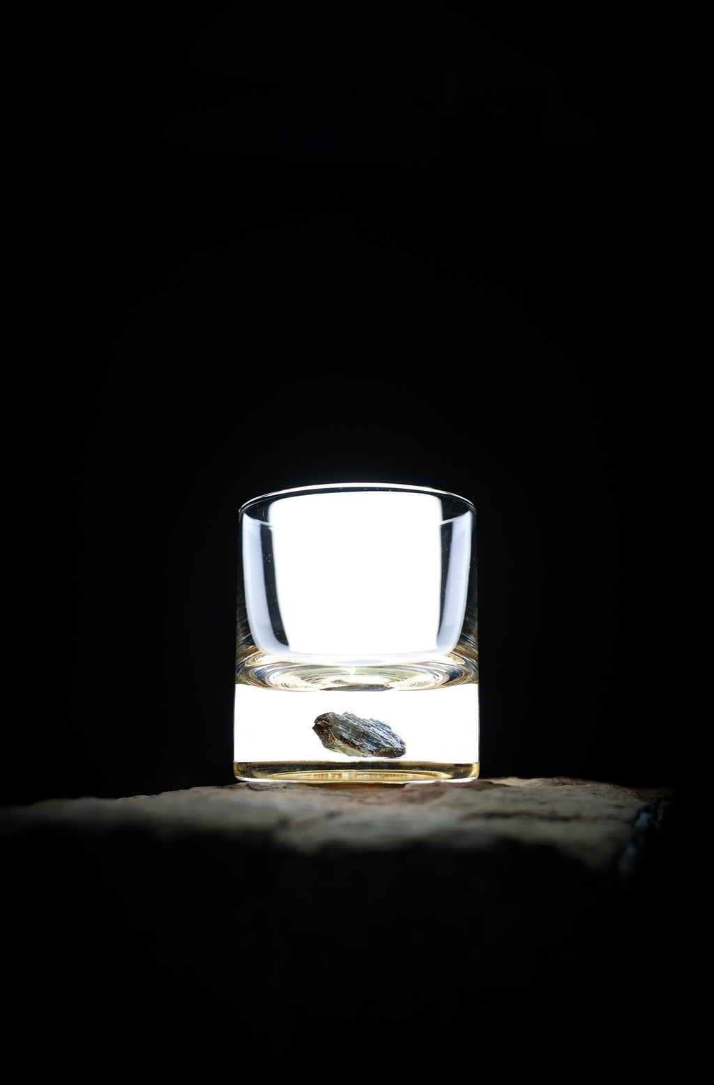 Dinosaur Bone Shard Tumbler - Set of 2