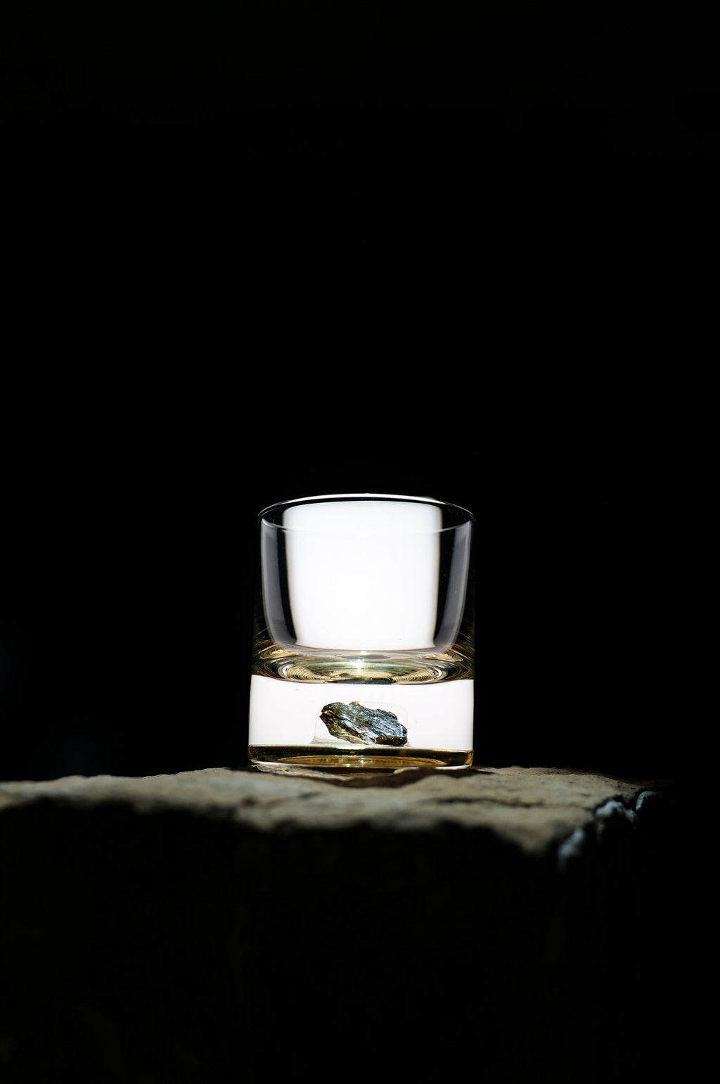 Dinosaur Bone Shard Tumbler - Set of 2
